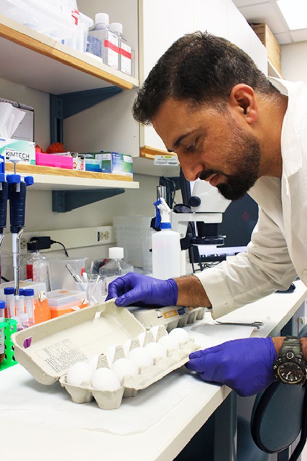 Tariq Bhat, PhD candidate in UBC faculty of medicine’s graduate program in cell and developmental biology