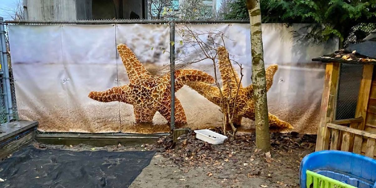 Decorative canvas used at the fence of one daycare site