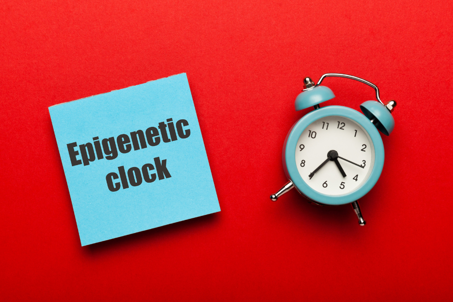 graphic of a clock and text that says epigenetic clock