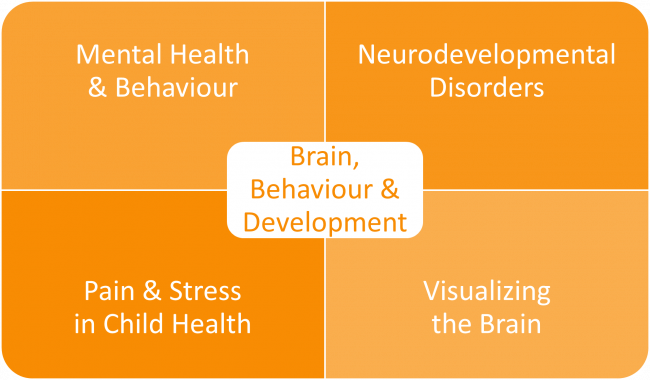 Brain Health Across Lifespan  Neurodevelopmental Disorder