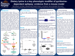 Dietary lysine is a key phenotypic modifier of pyridoxine- dependent epilepsy: evidence from a mouse model