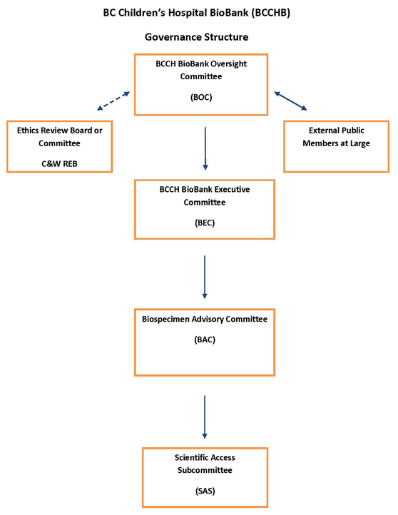 Biobank governance structure