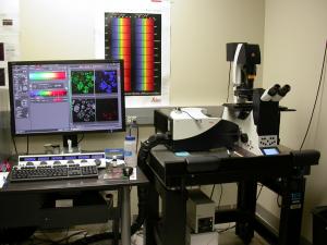 Leica SP8 Laser Scanning Confocal Microscope