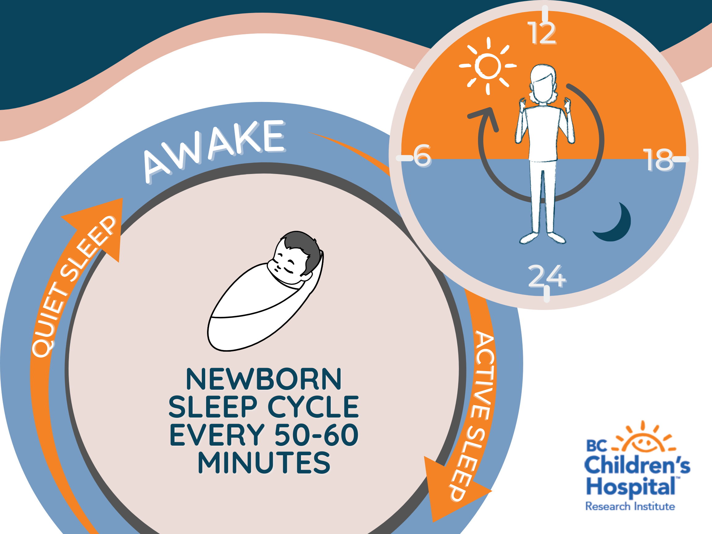 Linking baby outlet sleep cycles