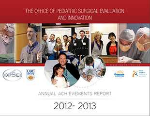 2013 Annual Report