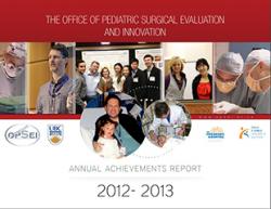 OPSEI Annual Achievements Report 2012-2013