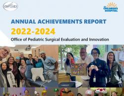 OPSEI Annual Achievements Report 2022-2024