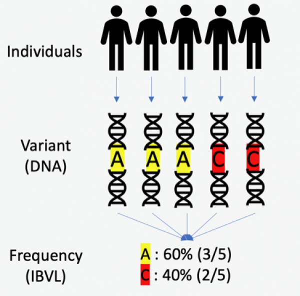 Common variant distribution within population