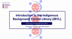 IBVL tutorial 1