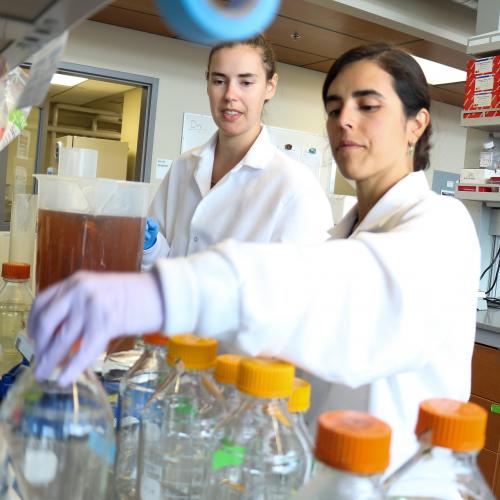 Maria Aristizabal with Hilary Brewis in the Kobor Lab, 2017