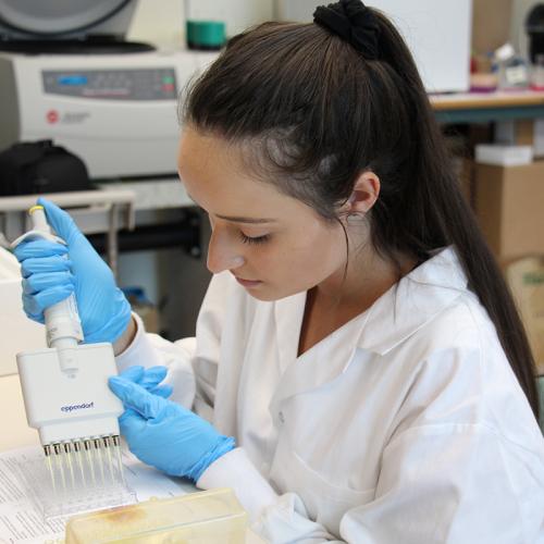 Madeline working in Schultz Lab Madeline working in Schultz Lab